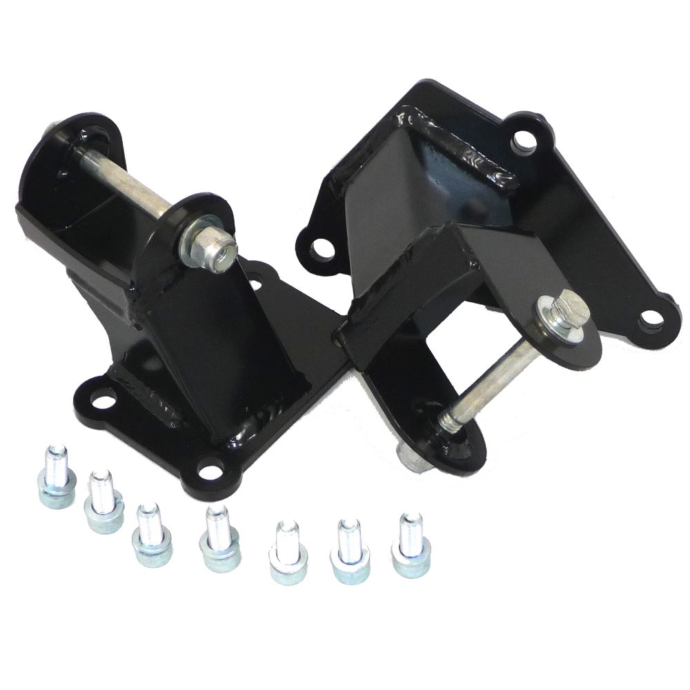 Duratec World Cup Engine Mounts (D001)